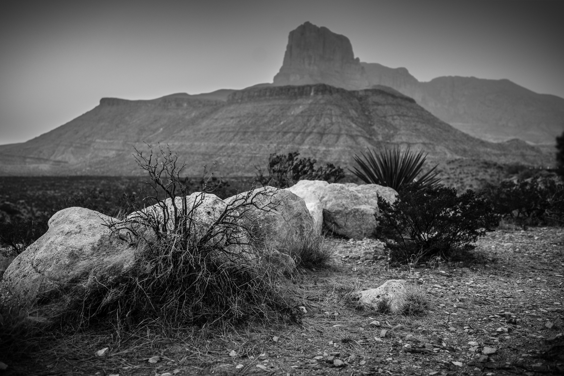 Guadalupe Mountains NP